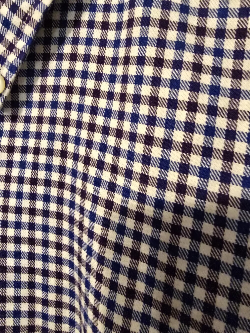 Ralph Lauren Blue and White Gingham Button-Down Shirt - Picture 3 of 3